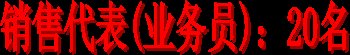 销售代表(业务员)：20名