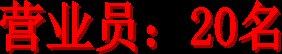 营业员：20名