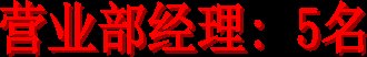 营业部经理: 5名